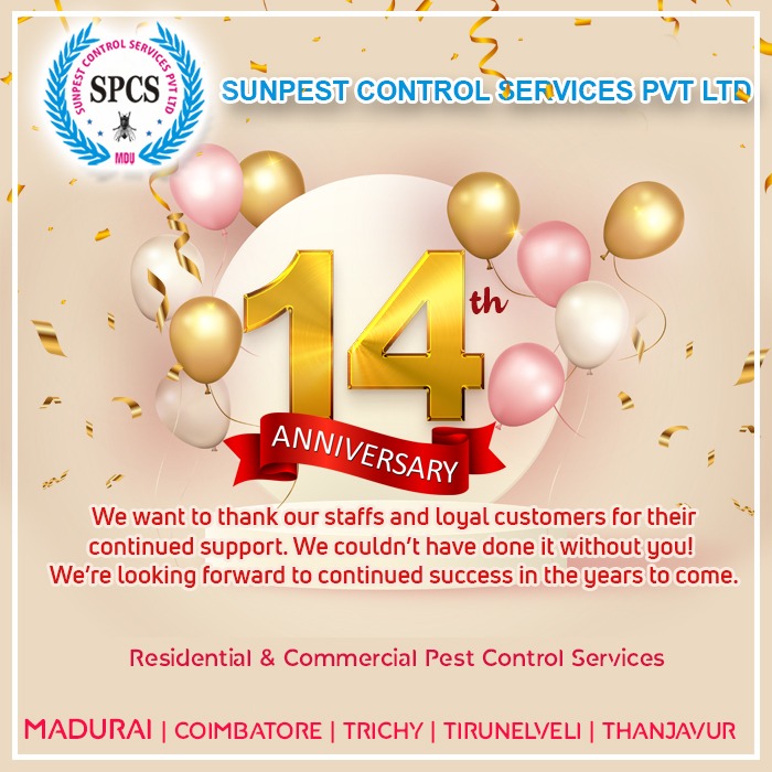 Sun Pest Control Services Madurai Pest Management Company, Termite