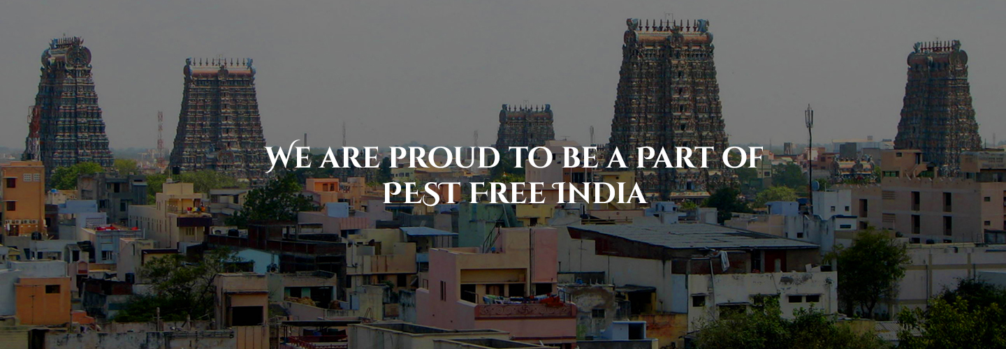 Madurai Meenakshi Amman Temple