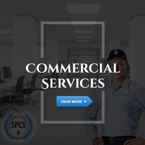 Commercial Pest Control Services