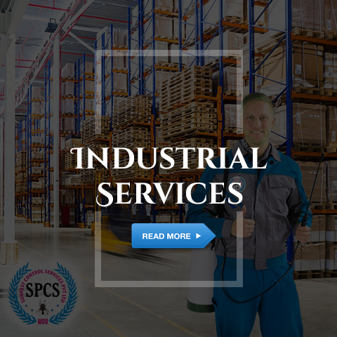 Industrial Pest Control Services