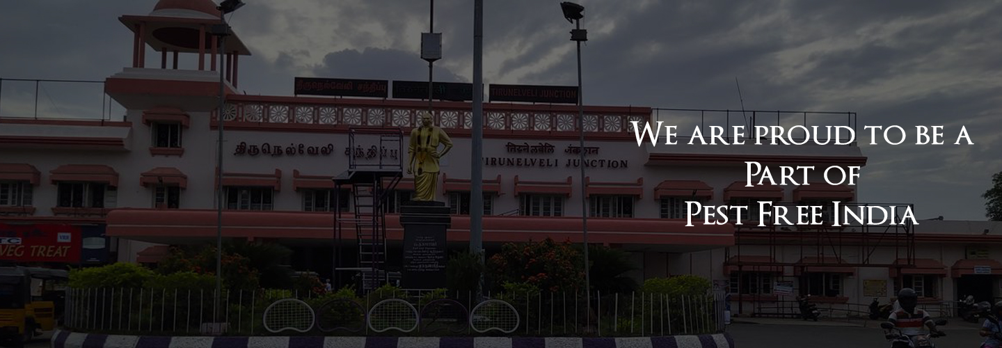 Madurai Meenakshi Amman Temple